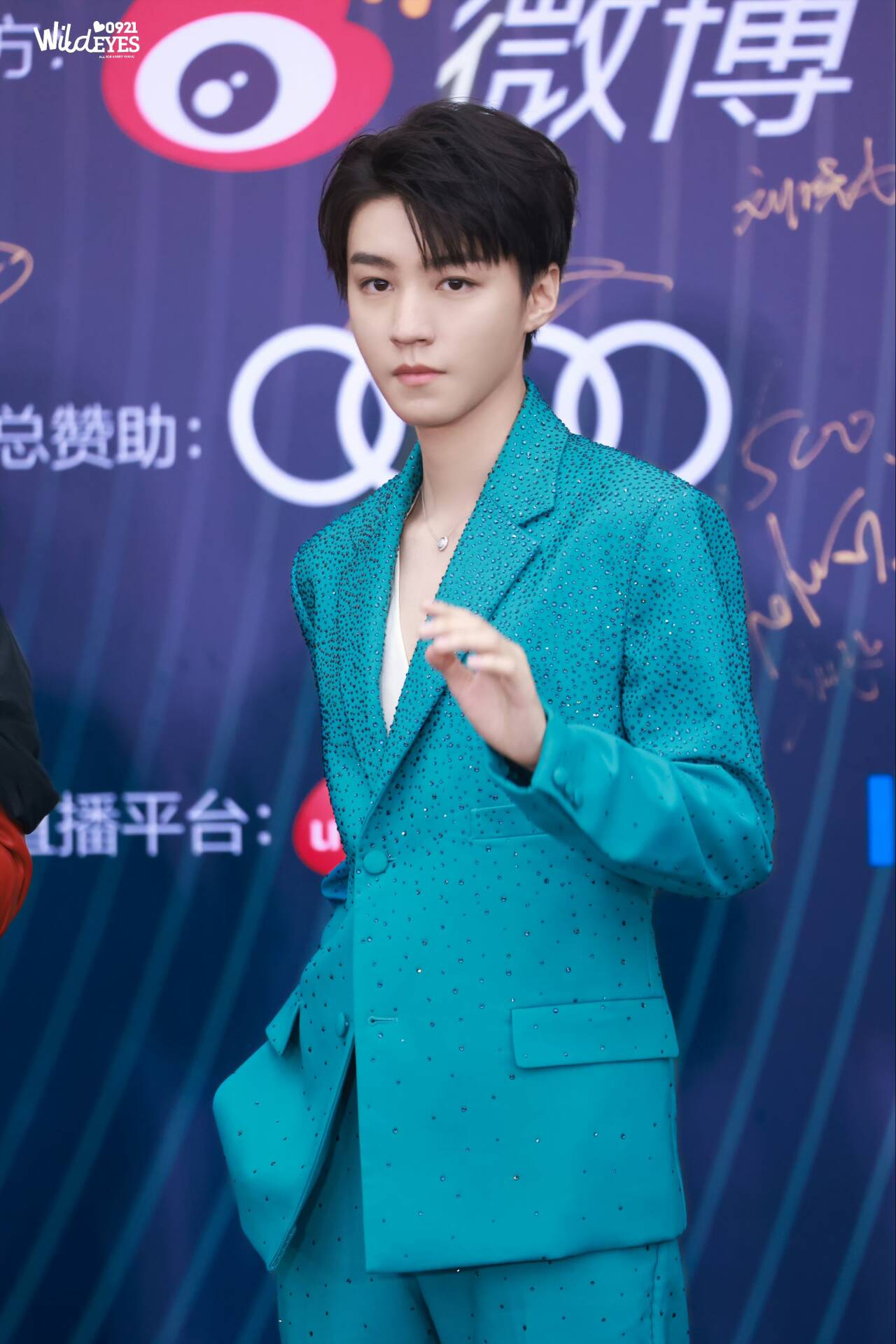 810eb5c3663a31a9783c28d4e54e8a30_720.png 王俊凱微博電影之夜紅毯造型/壹號娛樂