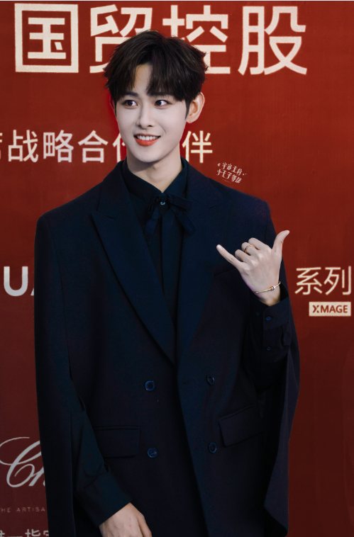 田嘉瑞金雞電影節閉幕式紅毯/壹號娛樂