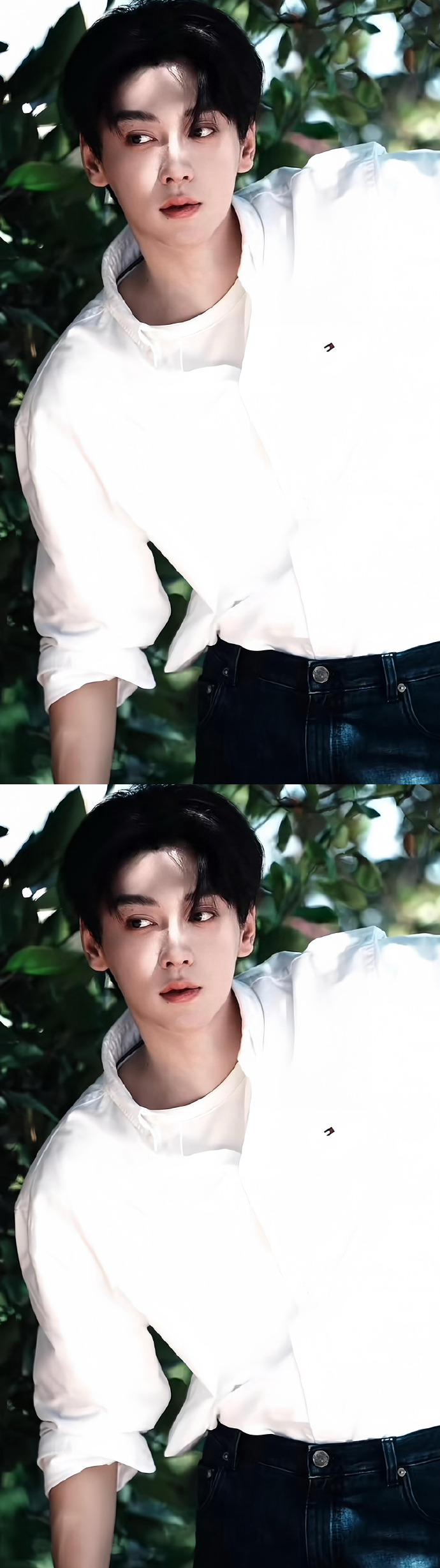 田栩寧工作室換頭像了/壹號娛樂